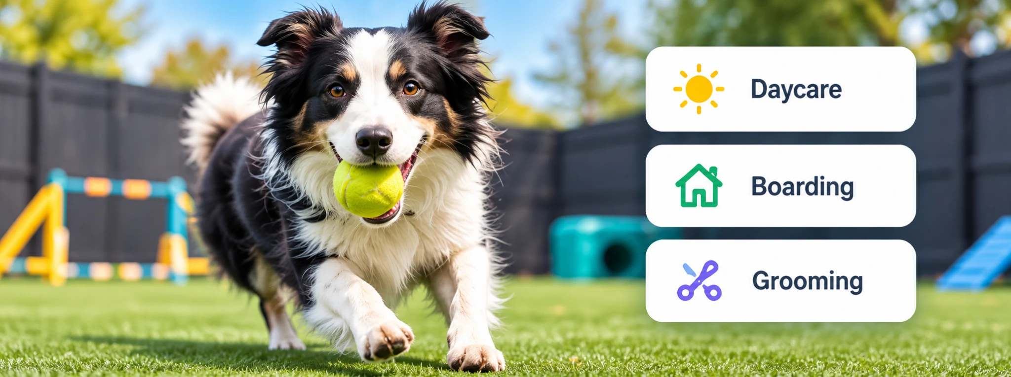Dog daycare, boarding and grooming services
